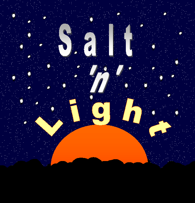 Salt'n'Light Logo